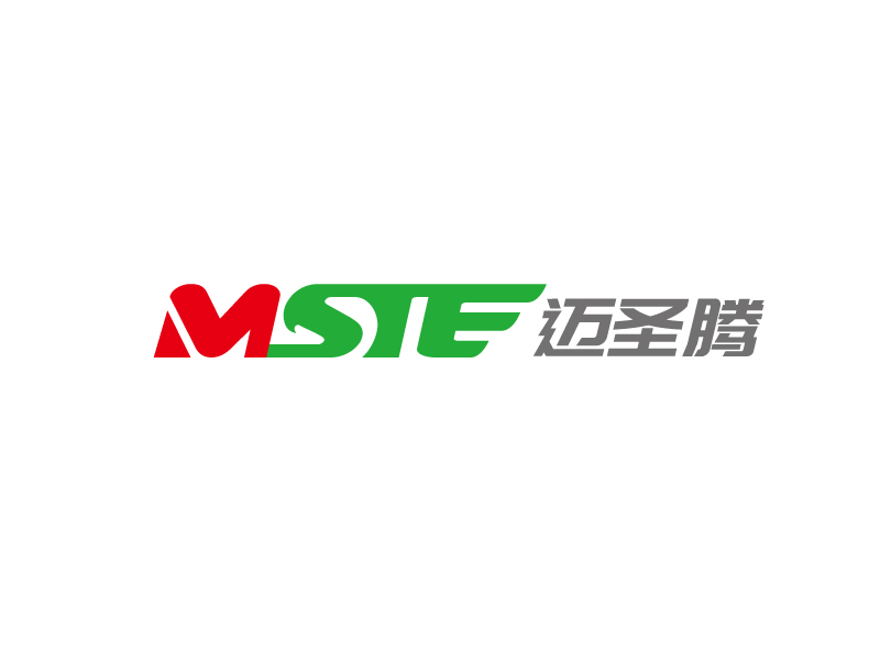 張俊的MSTE 邁圣騰logo設(shè)計(jì)